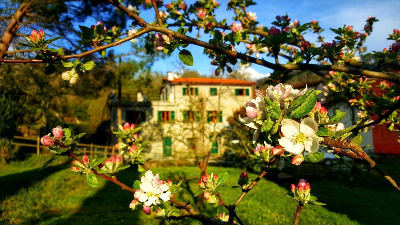 B&B Tre Ponti Castiglione Chiavarese Luaran gambar